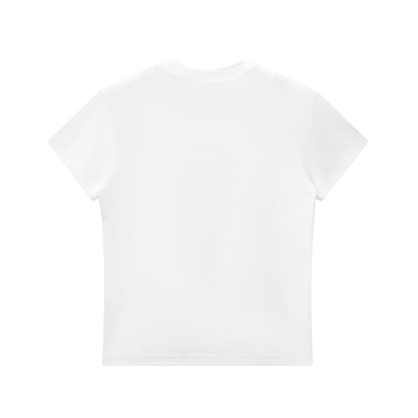 Zeta phi Beta Essential Bodycon Crewneck T-Shirt