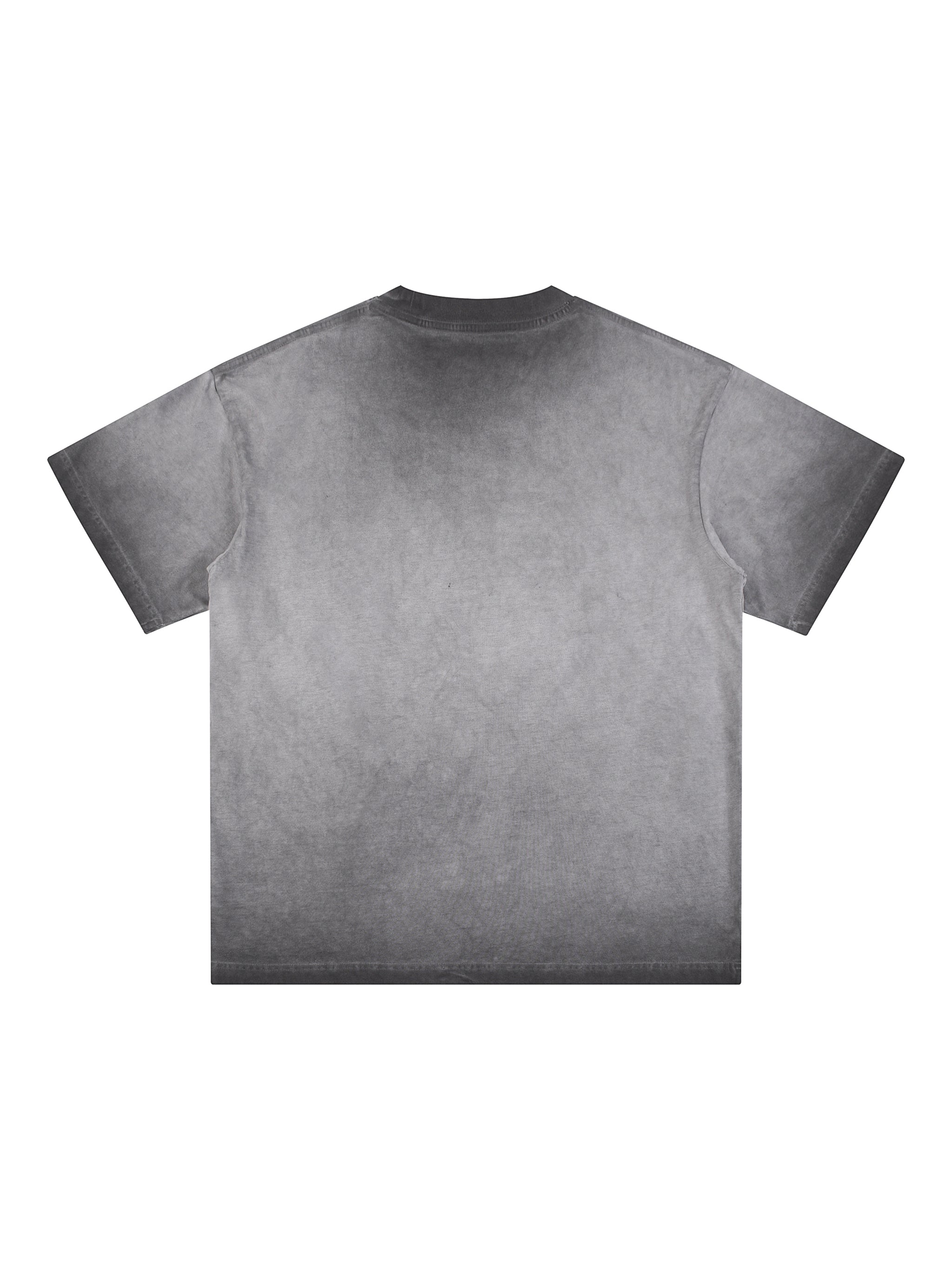 Alpha Reverse Dyed Loose Cotton T-Shirt