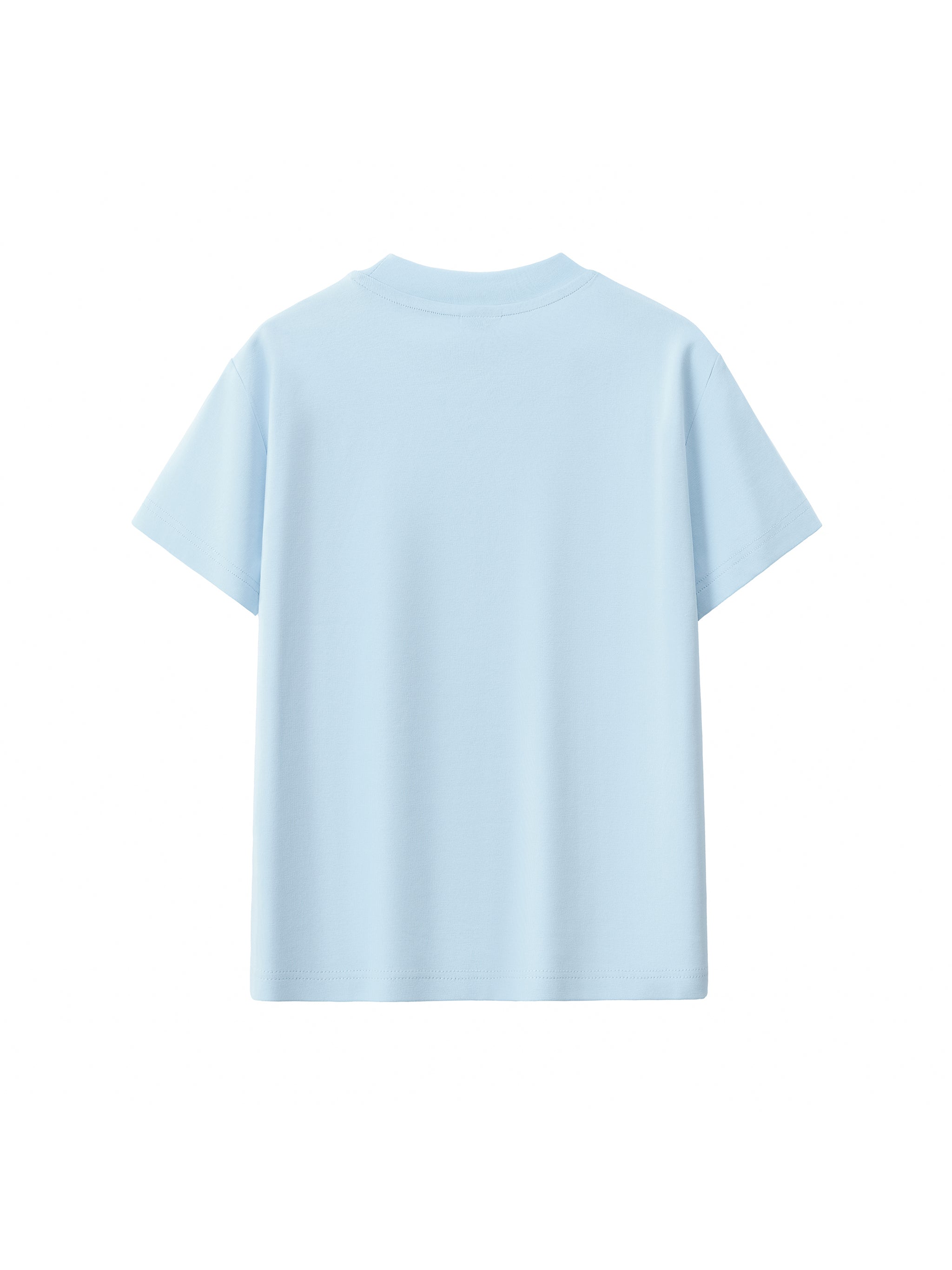 Zeta phi Beta Essential Bodycon Crewneck T-Shirt